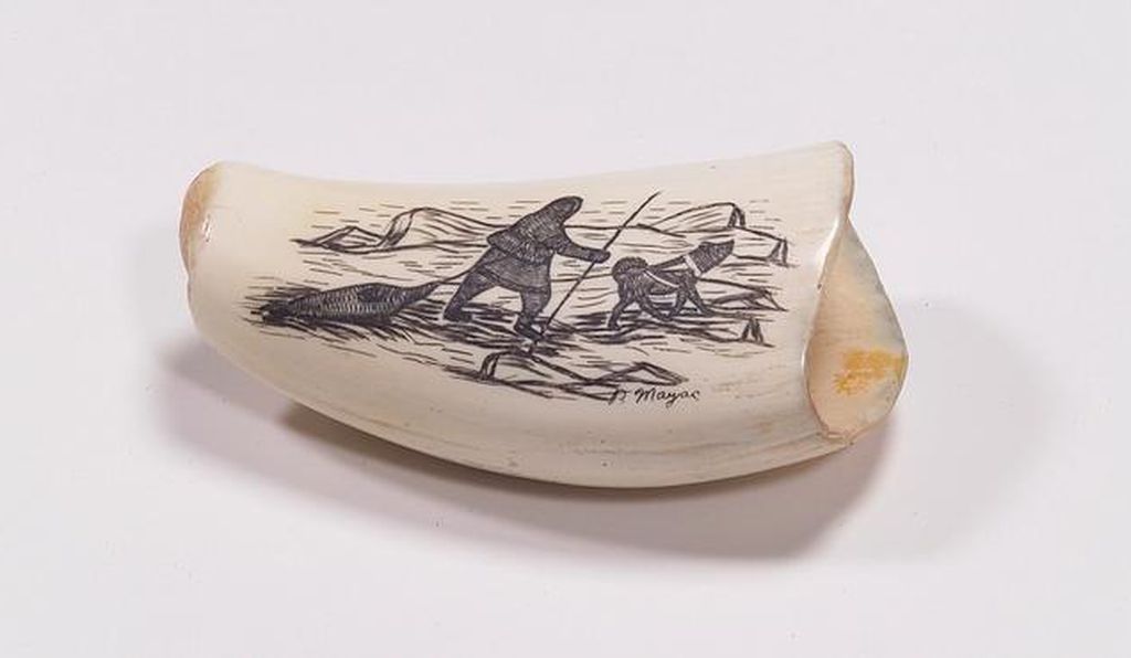 A contemporary paperweight by a Iñupiat artist made of whale tooth. 