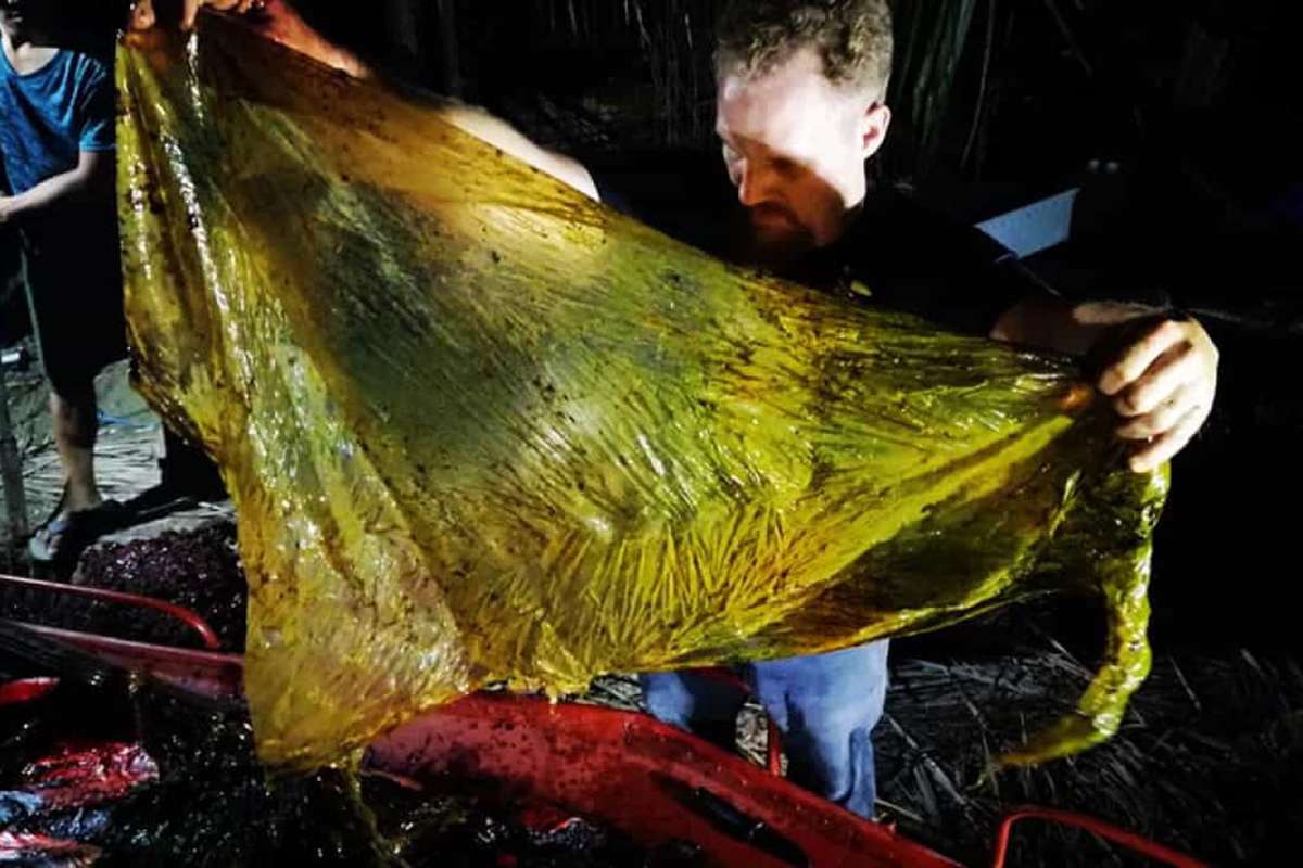 A rice sack found inside the dead whale