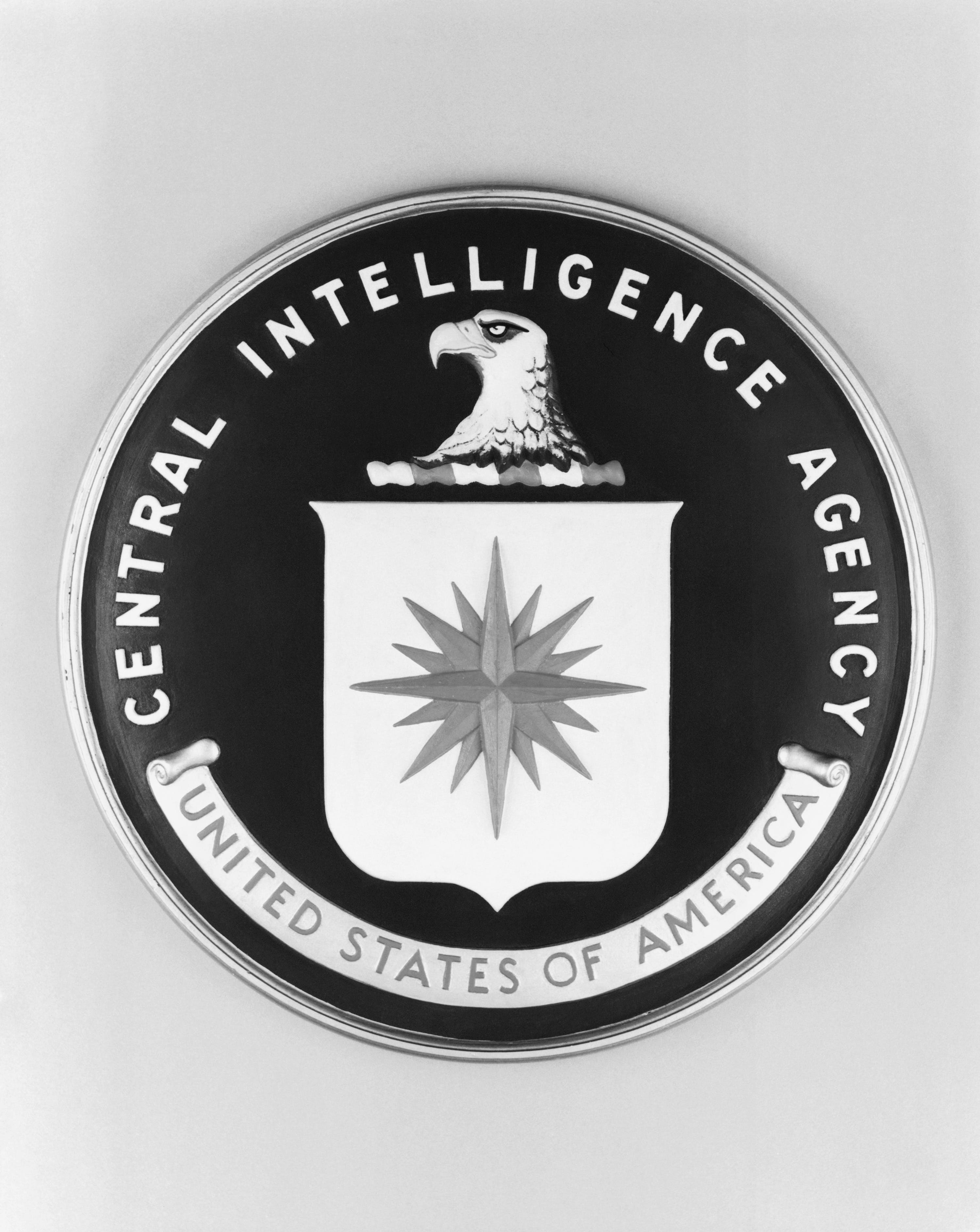 1974-ORIGINAL CAPTION READS:  Close-up of the official seal of the Central Intelligence Agency (CIA).